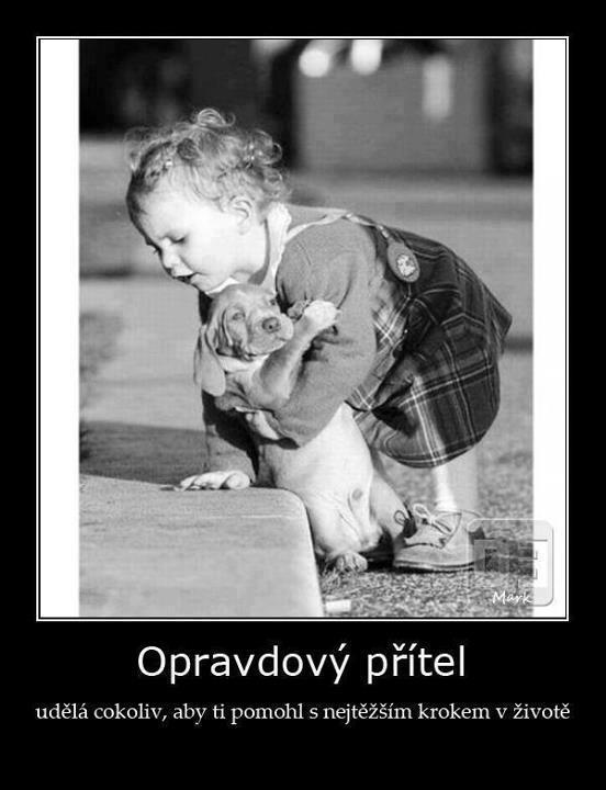 přij